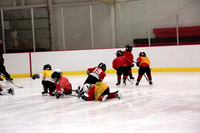 Skating with Blackhawks and Tommy Hawk (9)