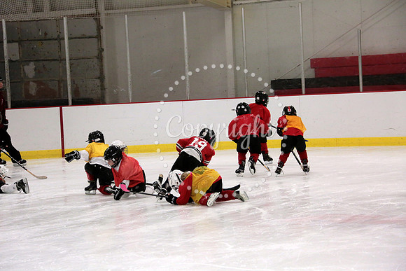 Skating with Blackhawks and Tommy Hawk (9)