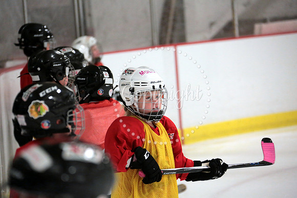 Skating with Blackhawks and Tommy Hawk (31)