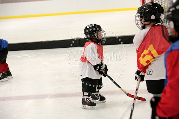 Skating with Blackhawks and Tommy Hawk (38)