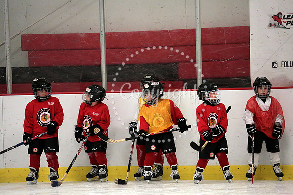 Skating with Blackhawks and Tommy Hawk (13)