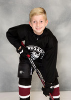 Mite Minor 1