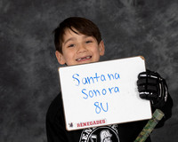 AY2A0483