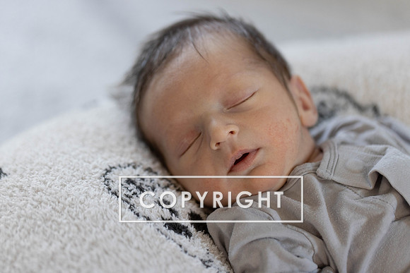 AY2A1237