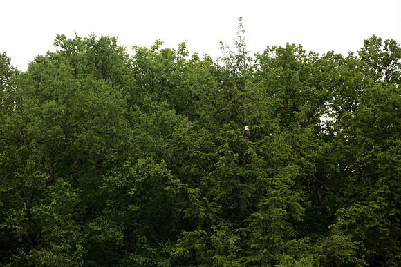 9T7A0115