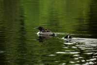9T7A0037