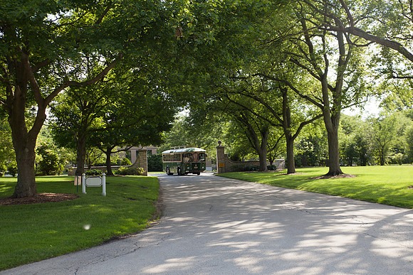 Trolley (4)