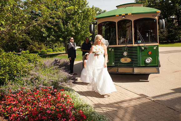 Trolley (39)