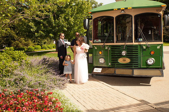 Trolley (35)