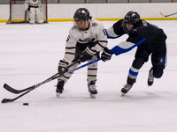 Bulldogs Vs.  Mt Carmel