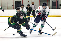 Cobra's Vs. Kankakee Irish