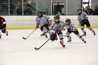 12 U Championship Game