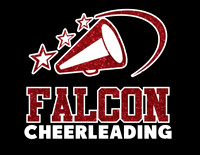 Falcon Cheer 2IMG_3915