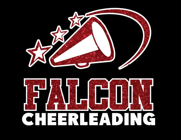 Falcon Cheer 2IMG_3915