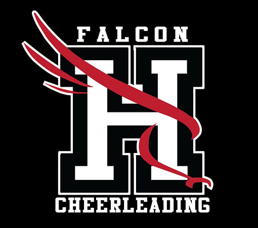 Falcon Cheer 4_IMG_3920