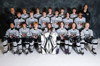 Gray Team