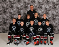 Mite Minor 5