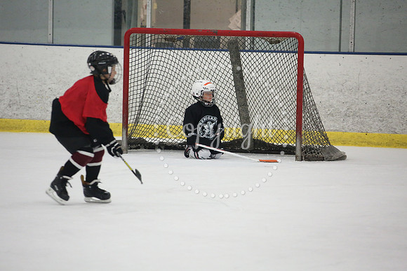 Games On The Ice (64)