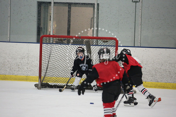 Games On The Ice (80)