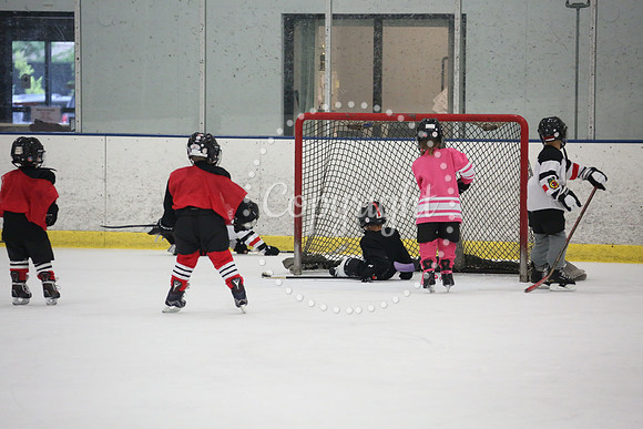 Games On The Ice (106)