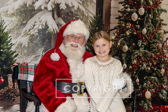 AY2A3983