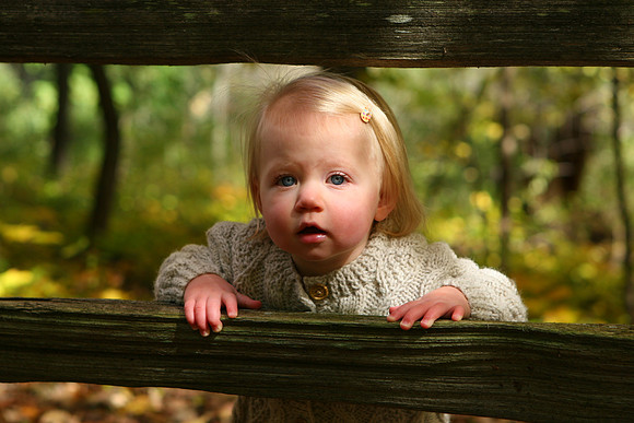 Slide Show (333)