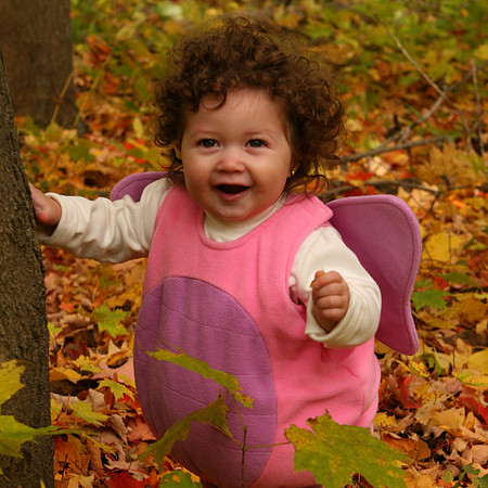 Fall (43)