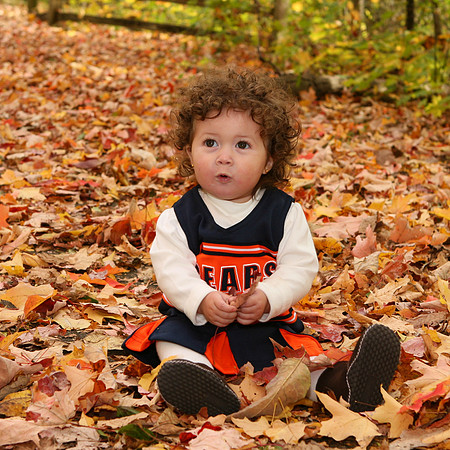 Fall (44)