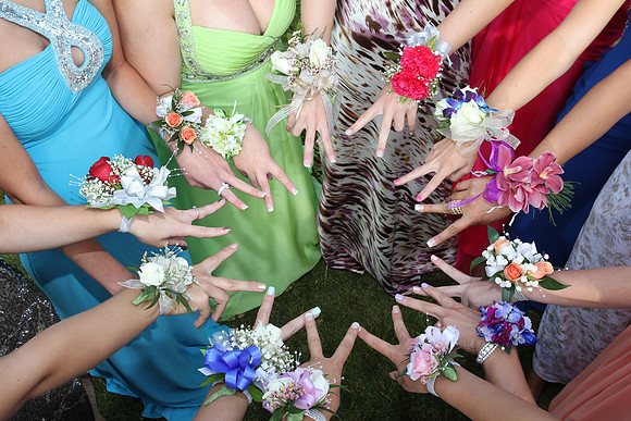 Prom 2012 (480)