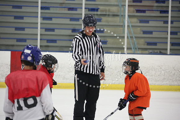 Games On The Ice (50)