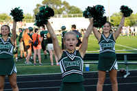 9-8-13 JV Cheer (81)