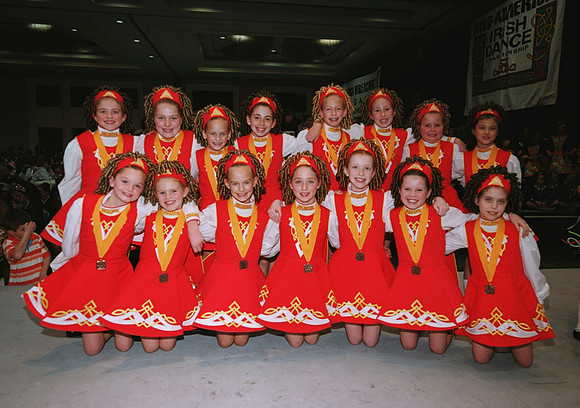The Oireachtas 2006 539