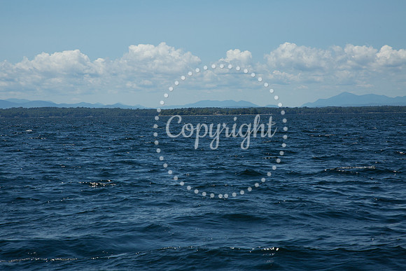 9T7A8336