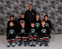 Mite Minor 1