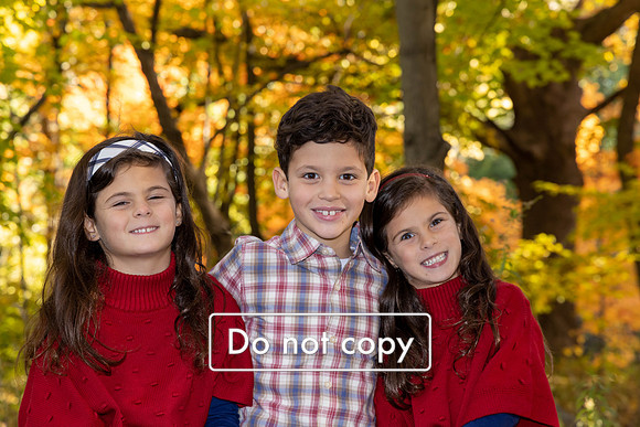 AY2A1316