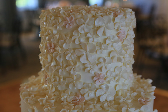Cake (7)