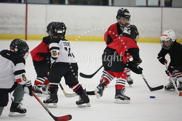 Games On The Ice (96)
