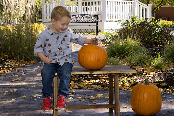Holmberg_84