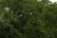 9T7A0124