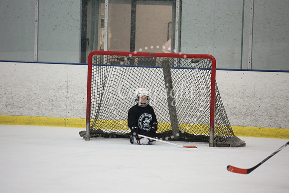 Games On The Ice (65)