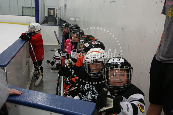 Games On The Ice (4)