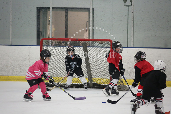 Games On The Ice (84)