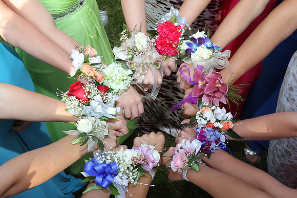 Prom 2012 (481)