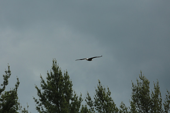 9T7A9019