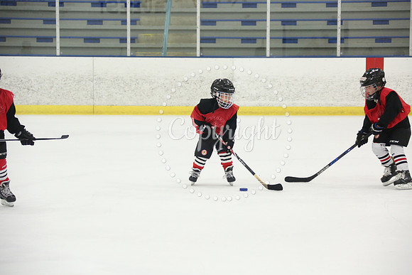 Games On The Ice (76)