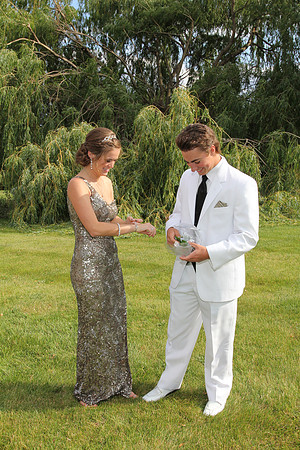 Prom 2012 (231)