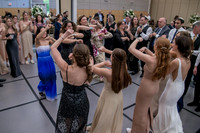 Dancing  (15)
