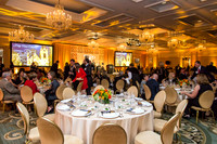Venue