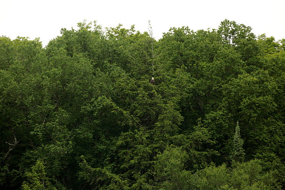 9T7A0109