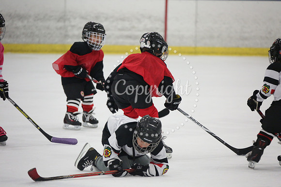 Games On The Ice (95)